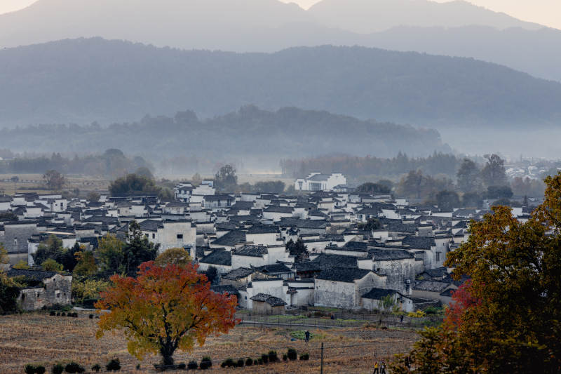 秋日卢村晨雾图片