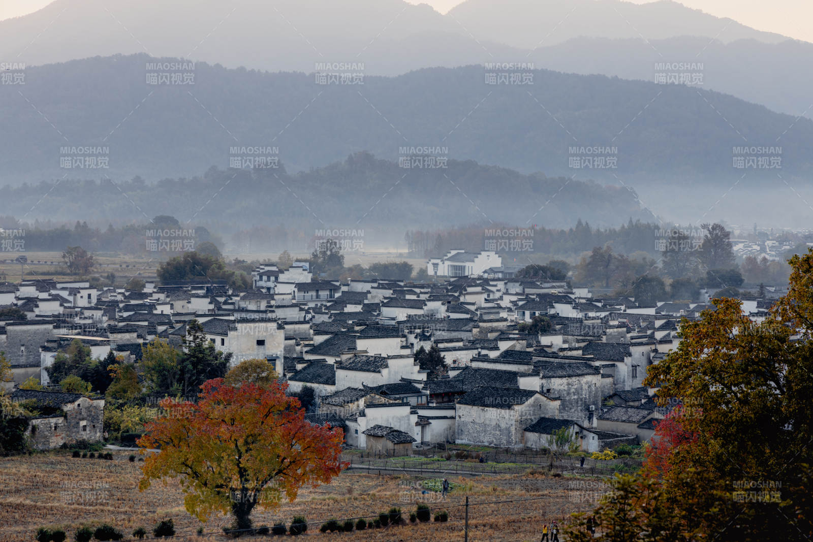 秋日卢村晨雾图片