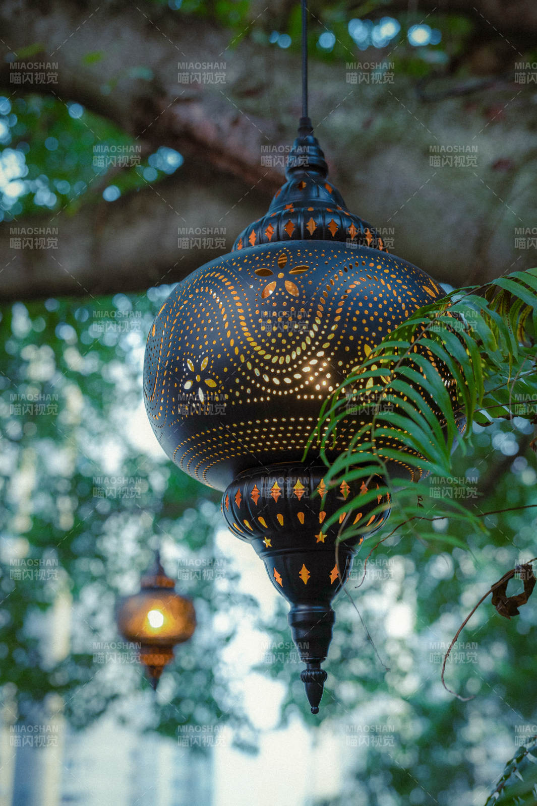 夜灯映绿意图片