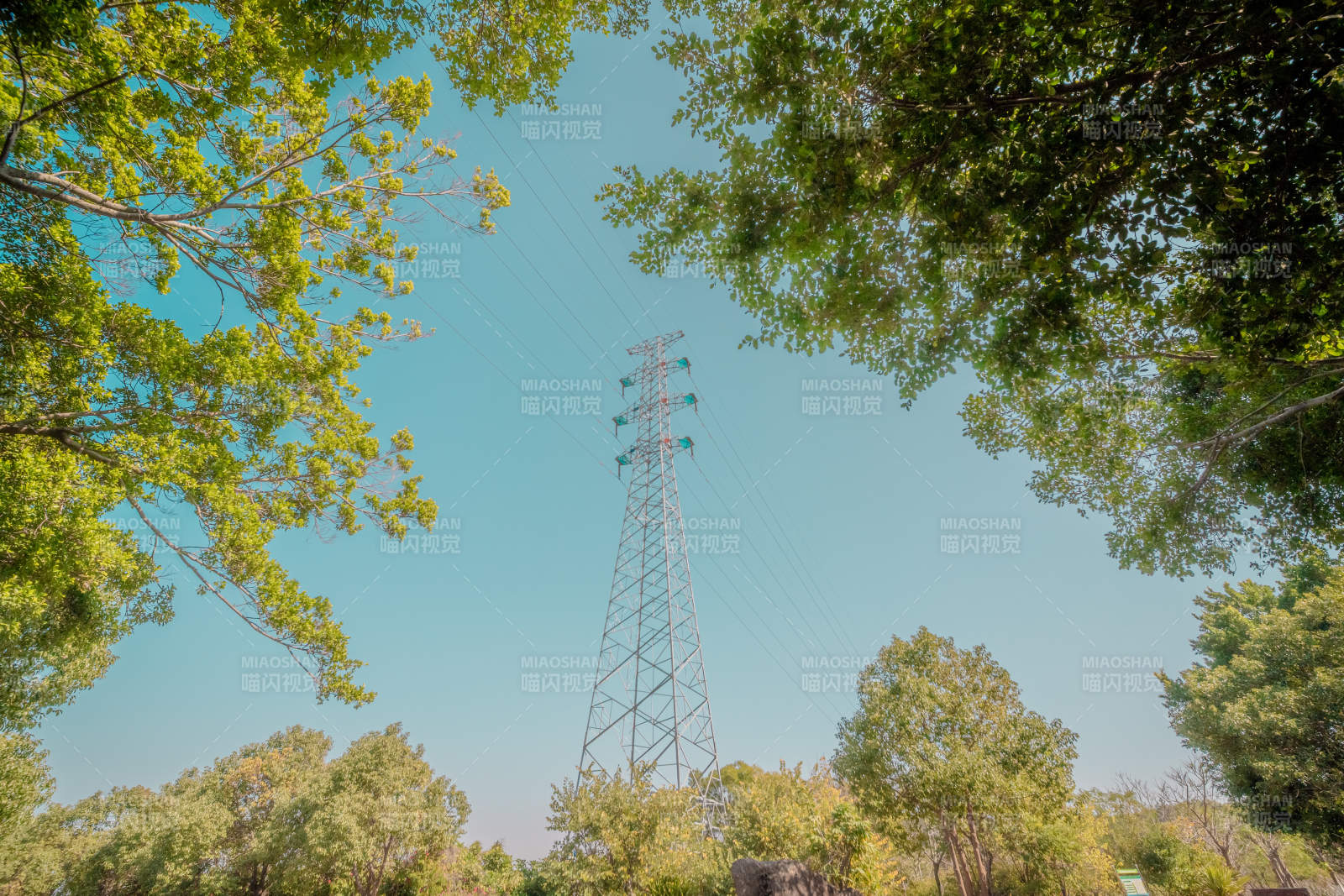 绿树掩映电塔图片