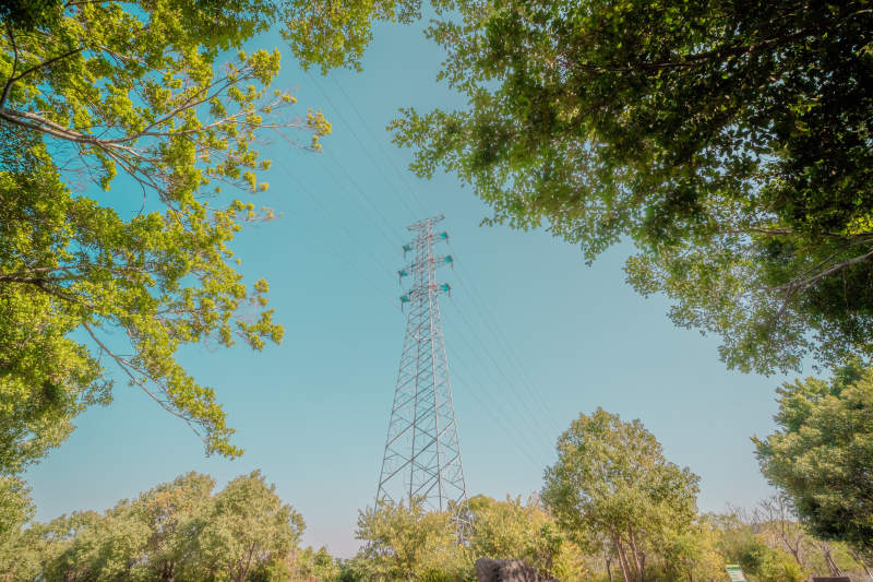 绿树掩映电塔图片