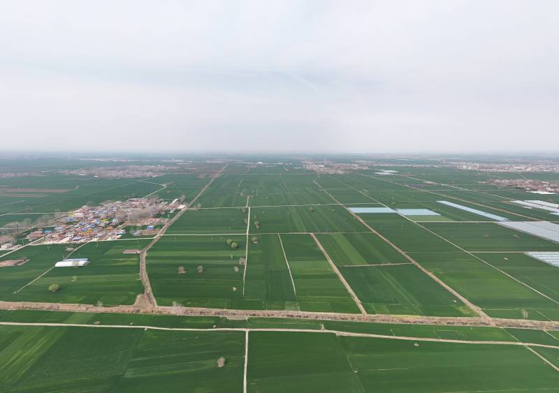 宿州绿野纵横 田园如画图片