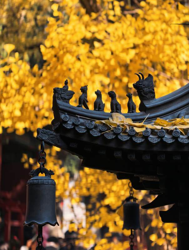 秋韵古寺钟声图片