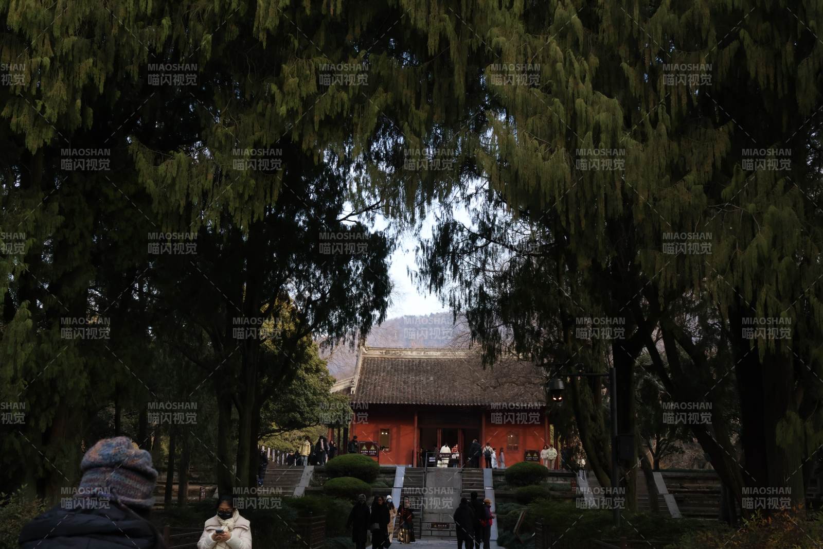 古寺深林静谧景图片