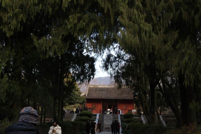 古寺深林静谧景图片