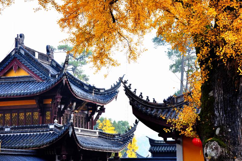 秋色中的古寺美景图片