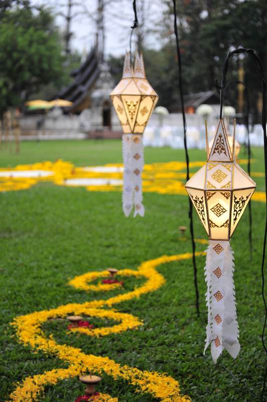 花灯映绿茵图片