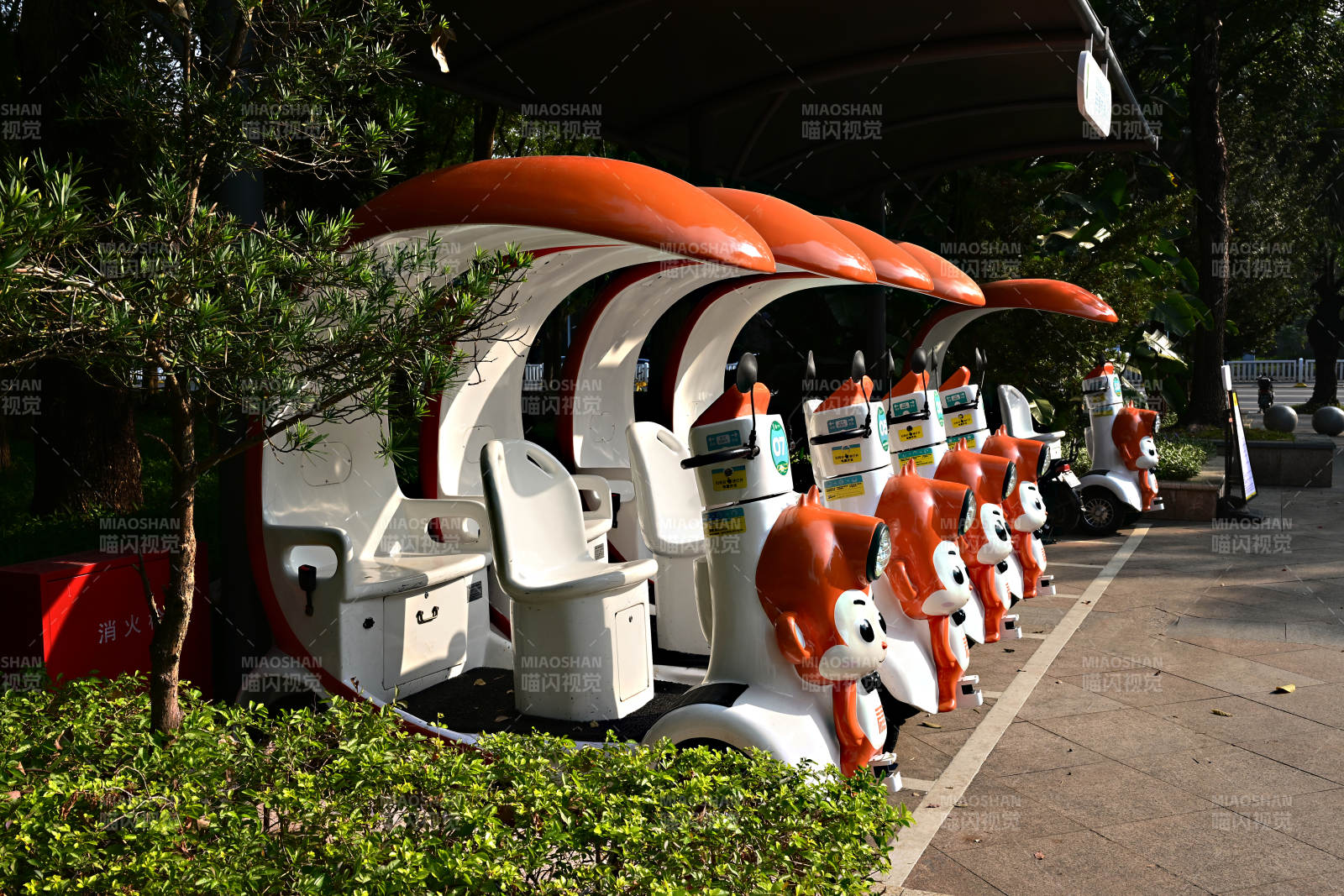 萌趣小车排排坐图片