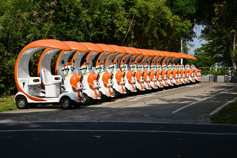 橙色电瓶车整齐排列图片