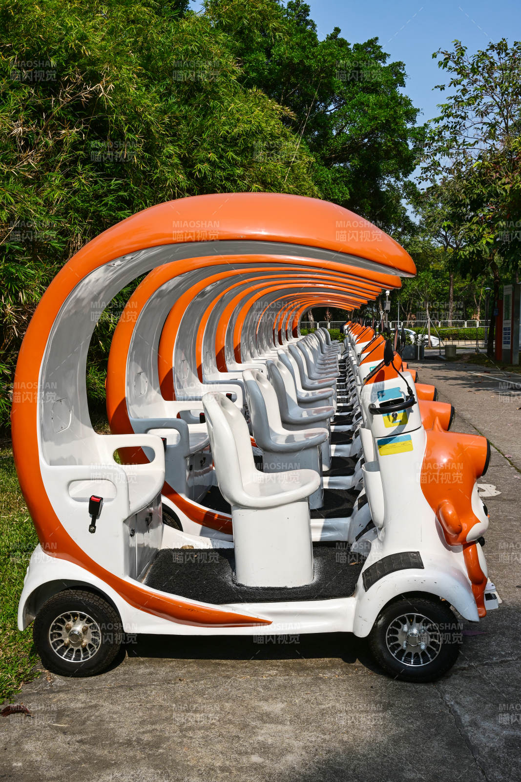 橙白观光车列队停泊图片