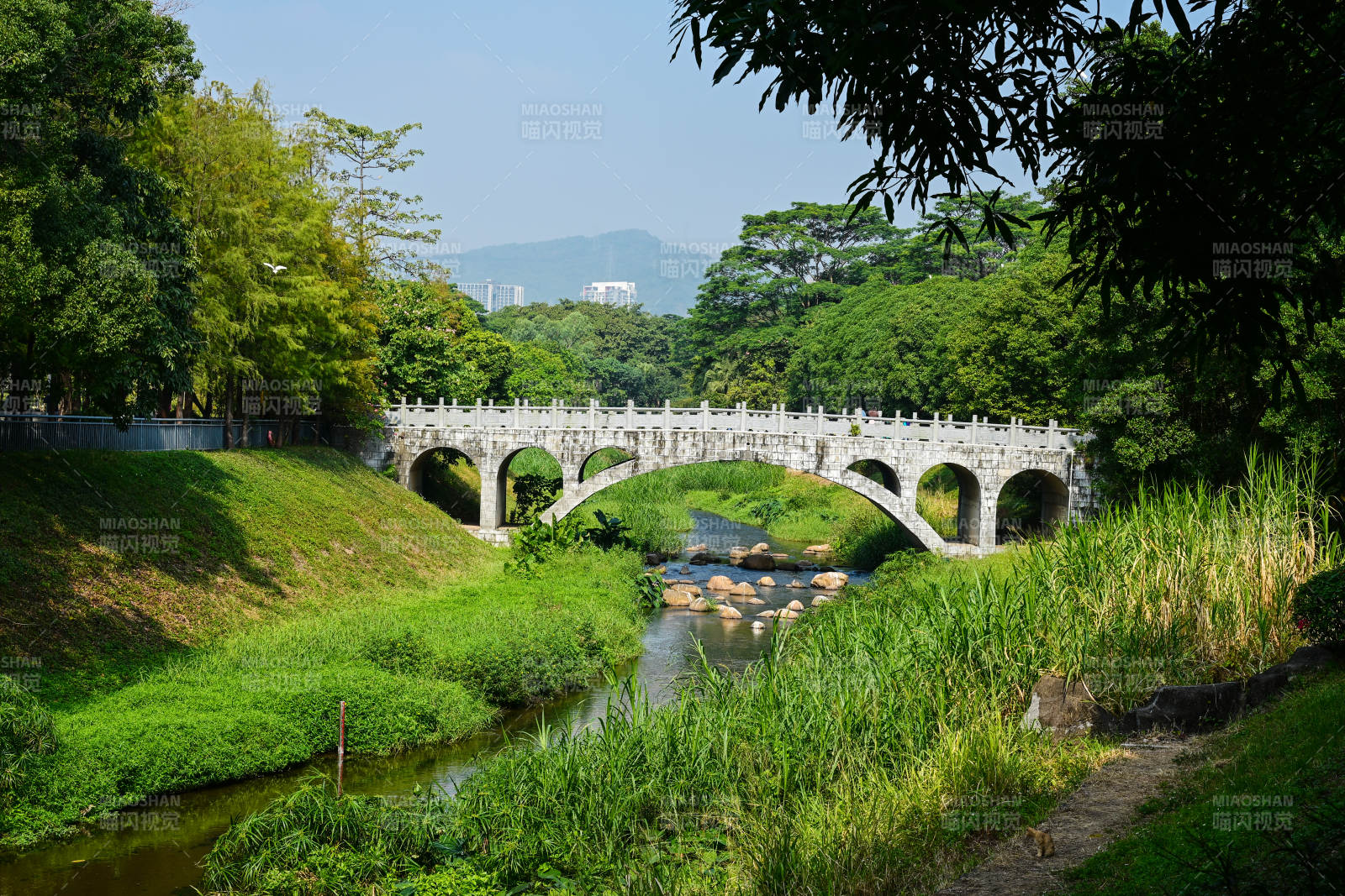 绿意盎然的石桥溪流图片