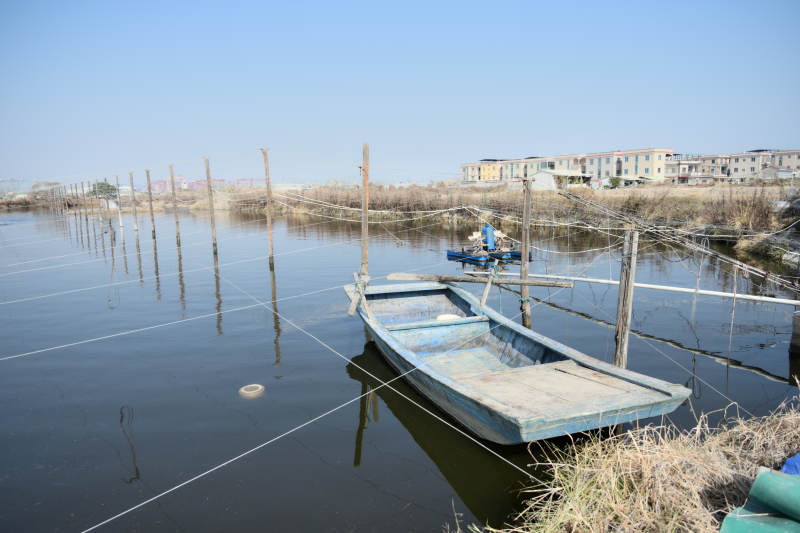 静水孤舟映天光图片