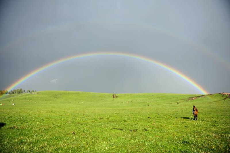 彩虹下的草原图片