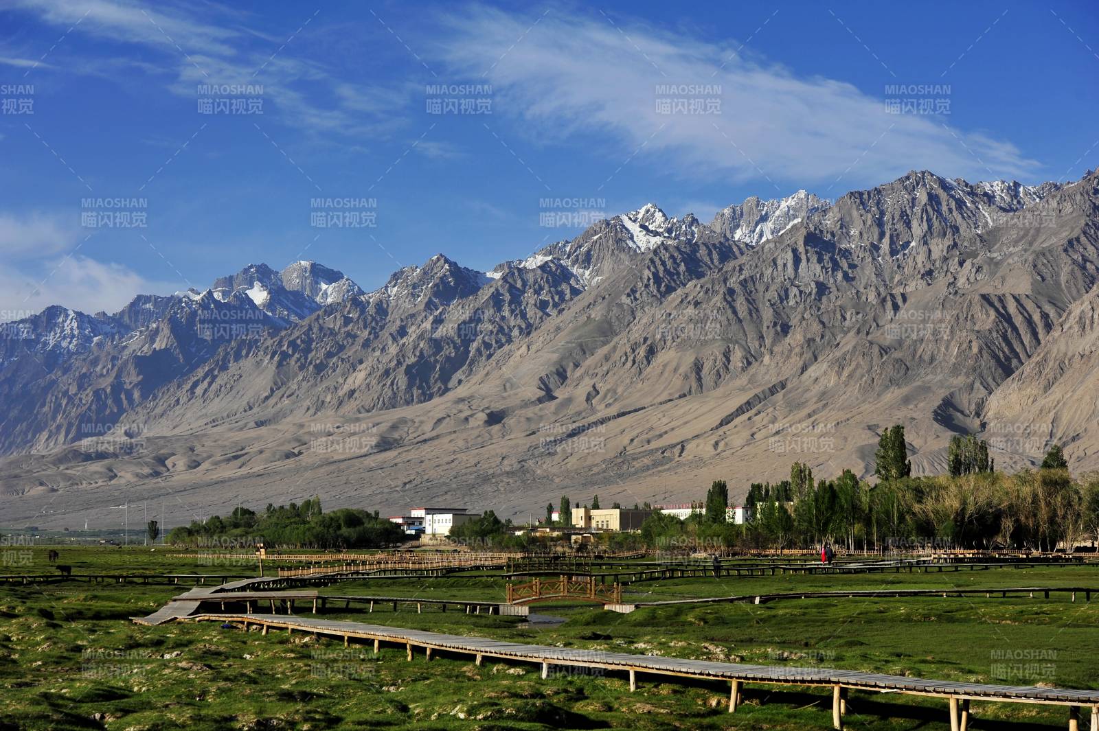新疆雪山下的绿洲风光图片