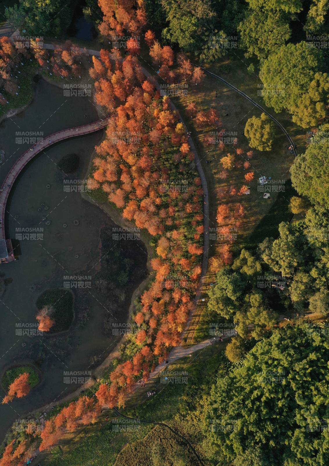 秋林映水 美不胜收图片