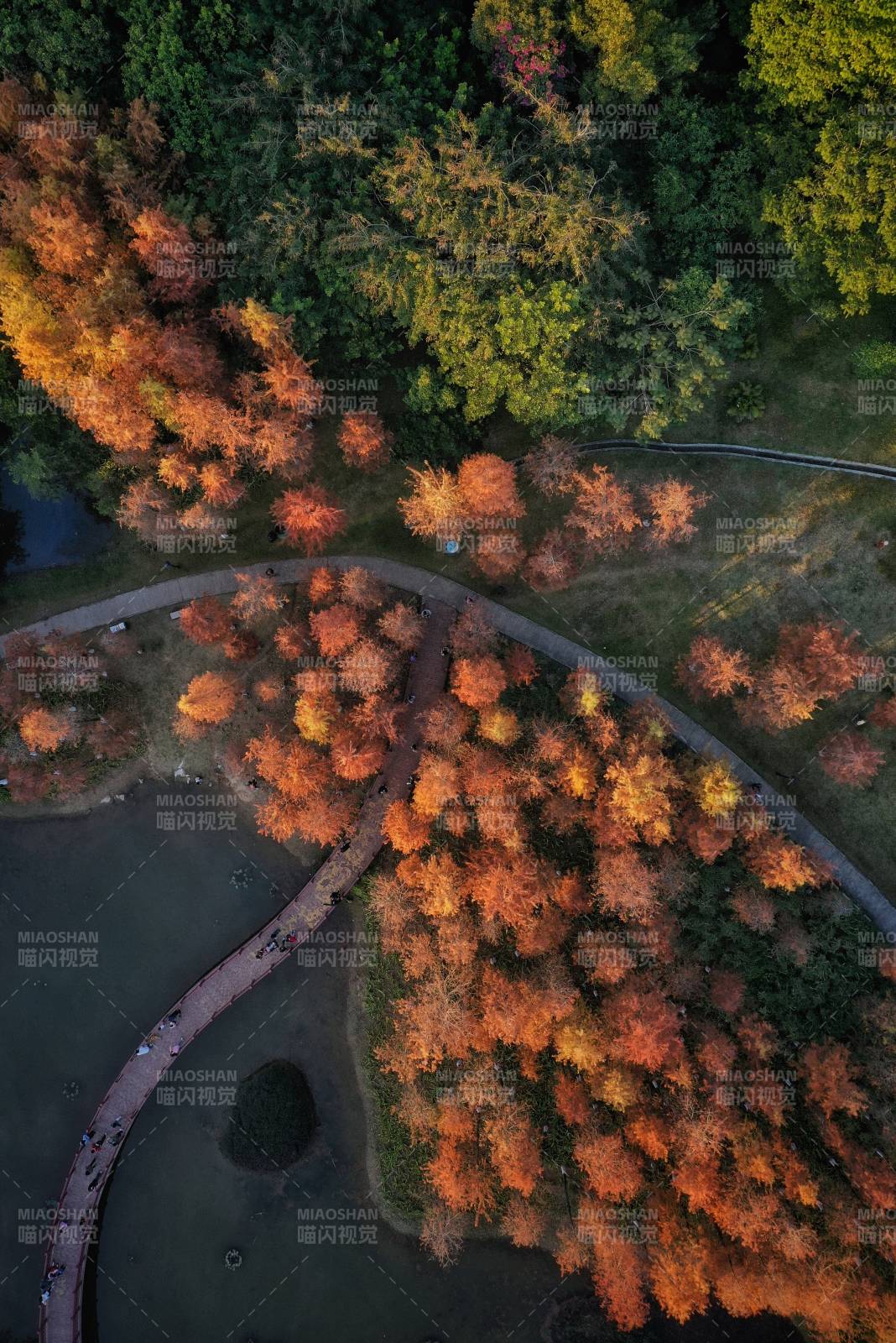 秋林俯瞰图图片