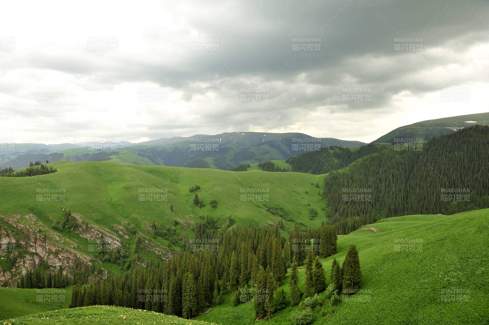 青山绿谷云影图片