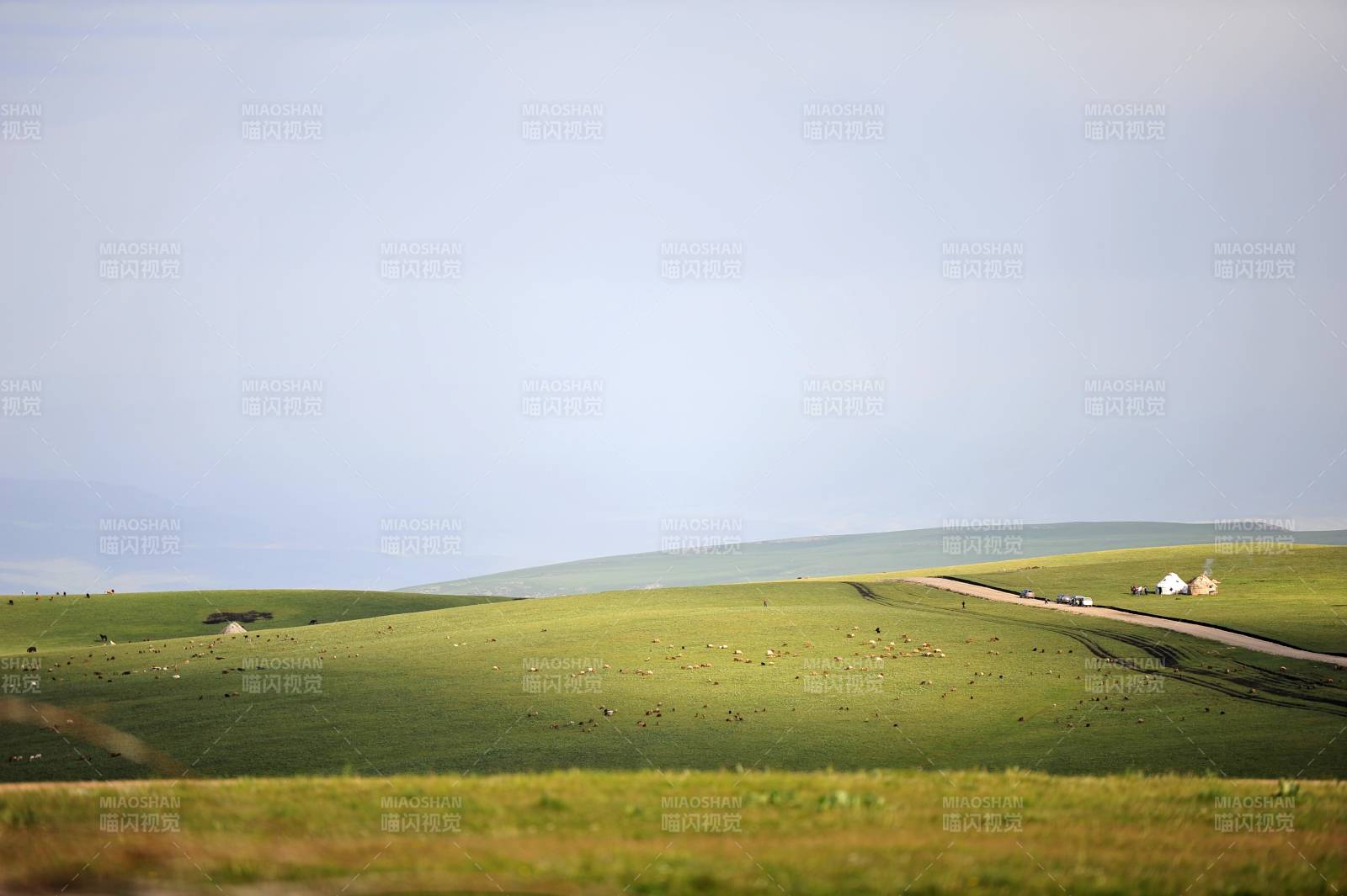 草原公路远行图片