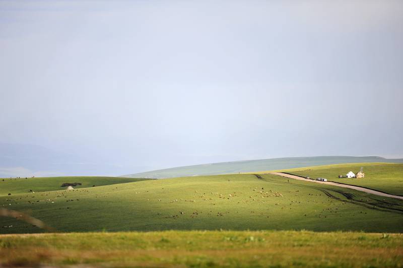 草原公路远行图片