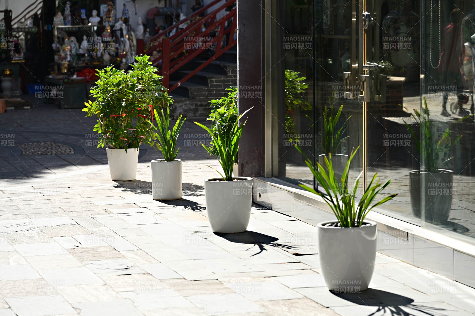 绿植点缀街景图片