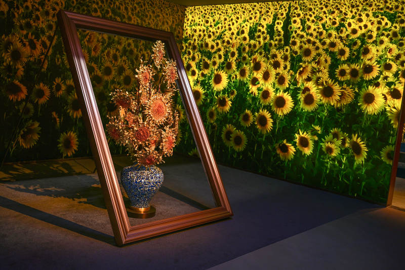 向日葵与镜中花图片