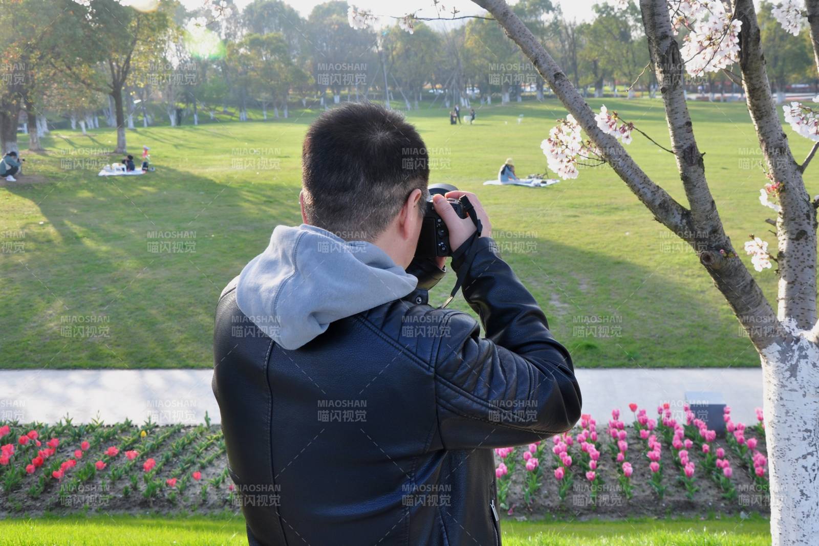 春日公园拍照图片