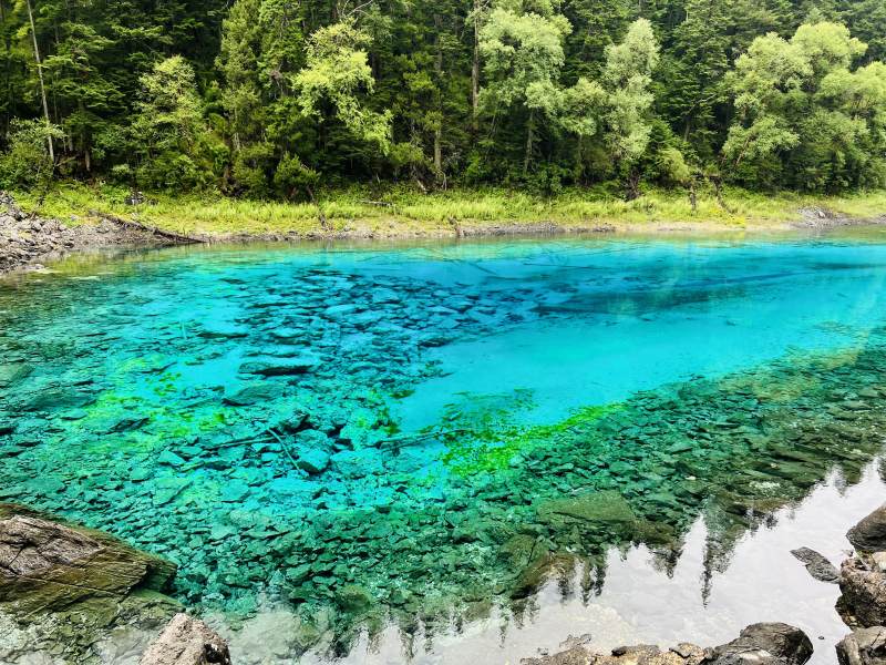 碧水映林 清澈见底图片