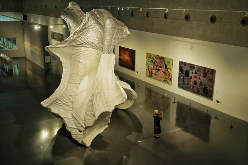 巨壳艺术展图片