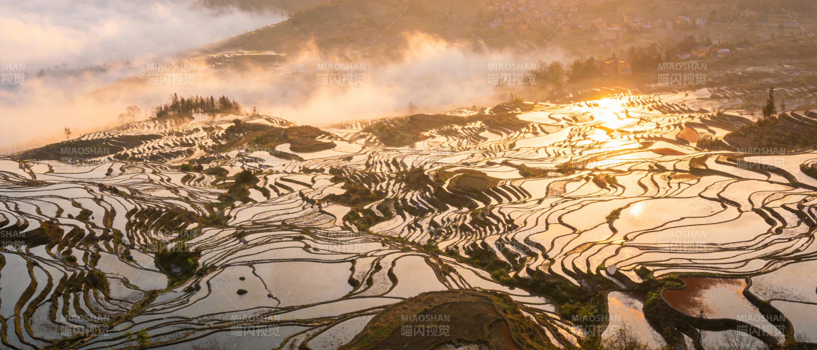 梯田晨曦图片