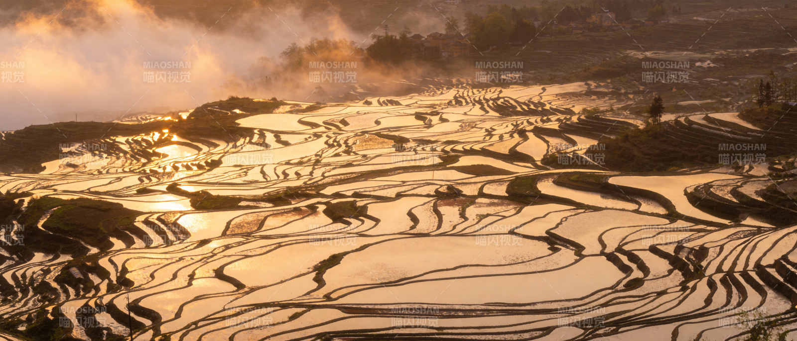 梯田晨曦图片