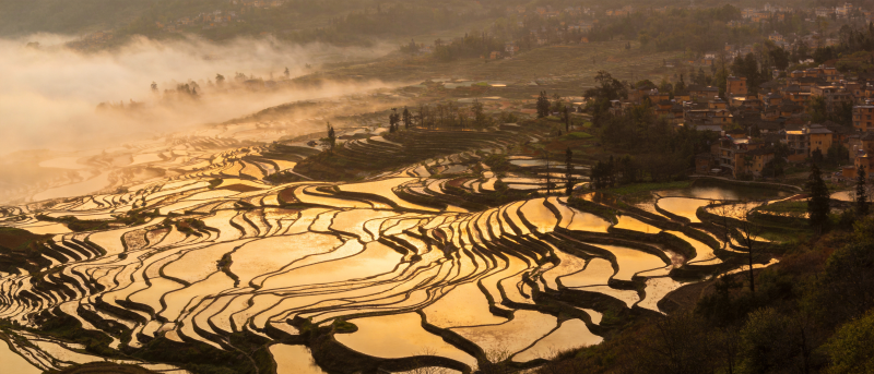 梯田晨曦图片