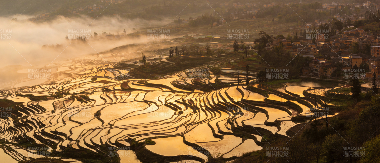 梯田晨曦图片