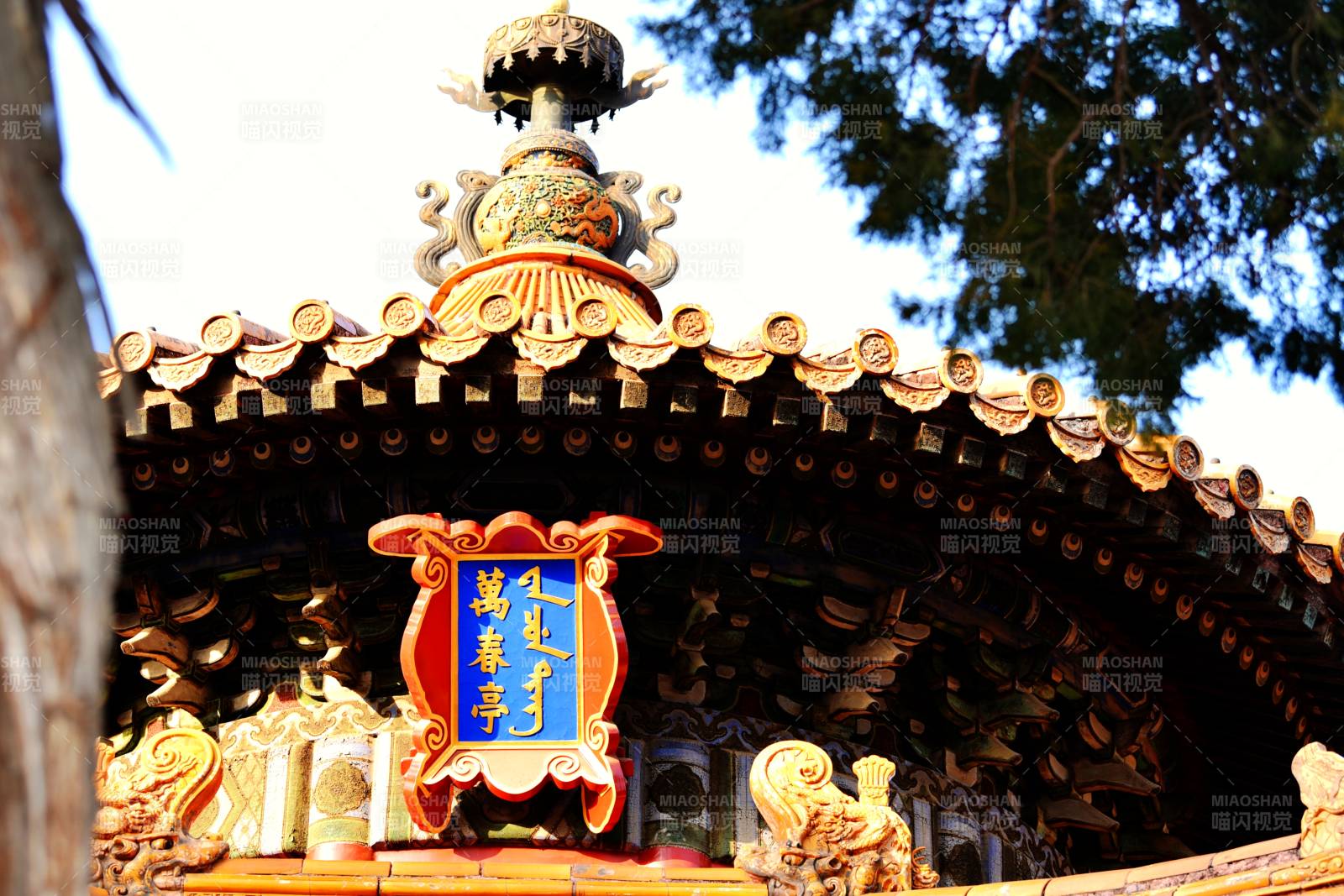 颐和园涵虚亭图片