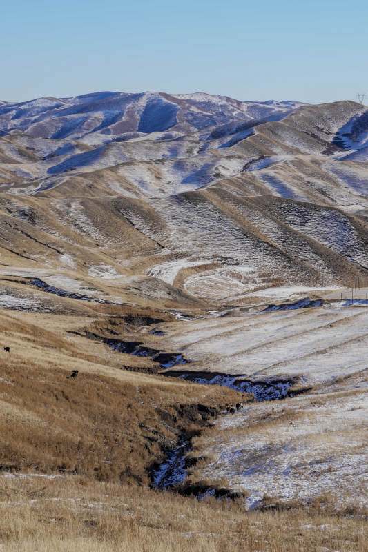 雪覆山丘 溪流蜿蜒图片