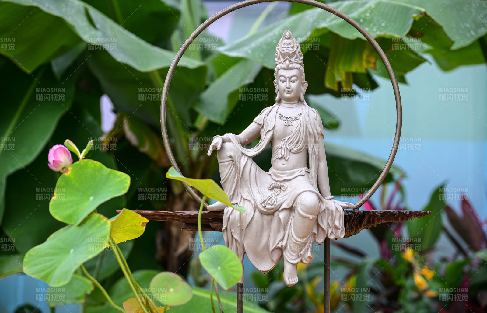 禅意莲花观音像图片