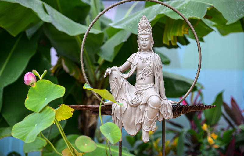 禅意莲花观音像图片