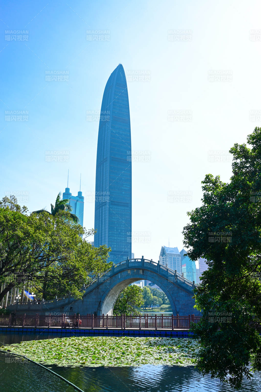 深圳湾地标建筑图片