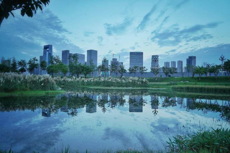 天府公园城市湖畔夜景图片