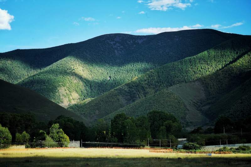 新都桥青山绿水映蓝天图片