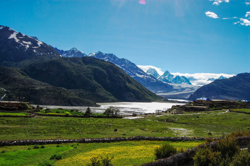 雪山下的绿野风光图片