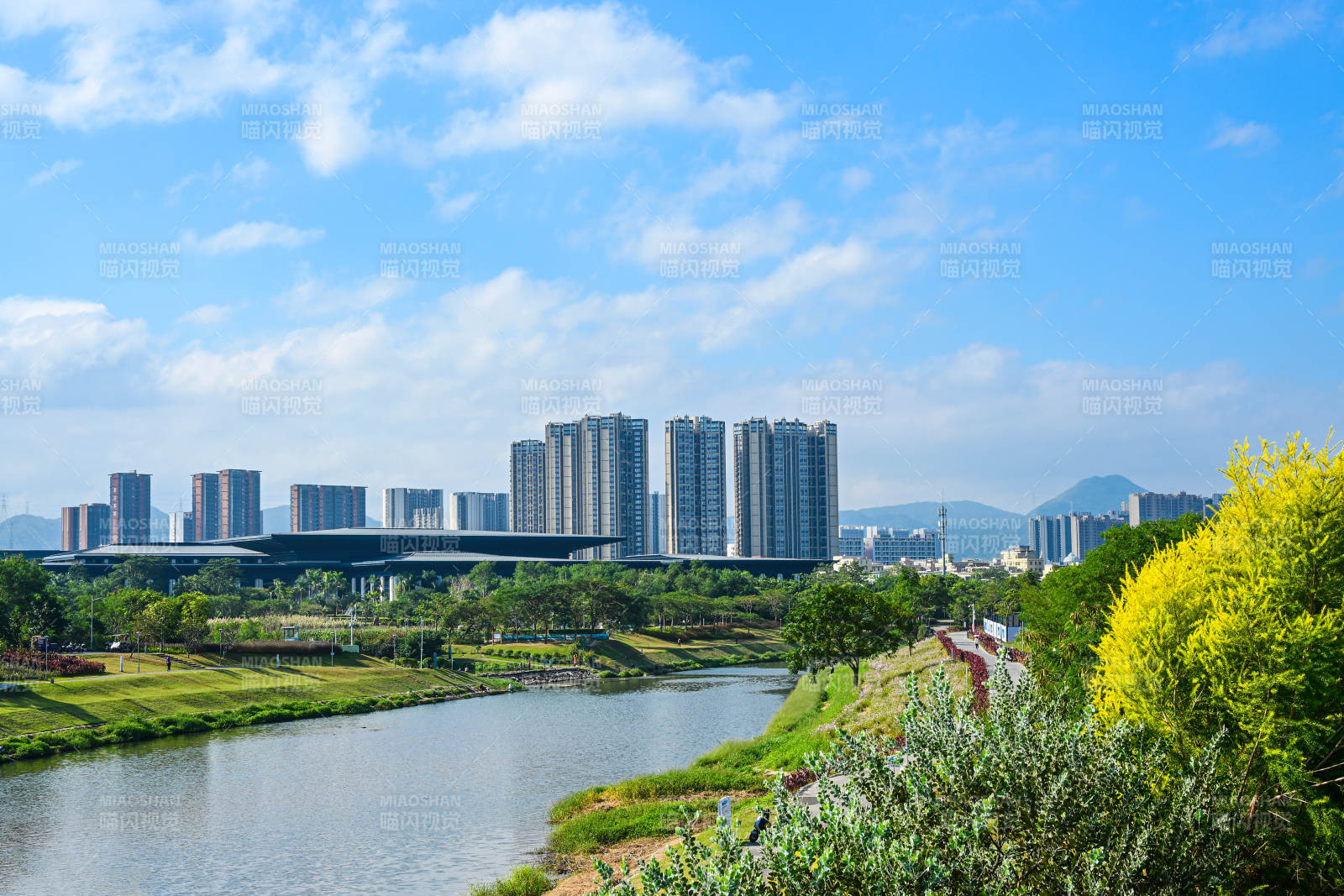 深圳坪山河公园蓝天白云下的河畔景观图片