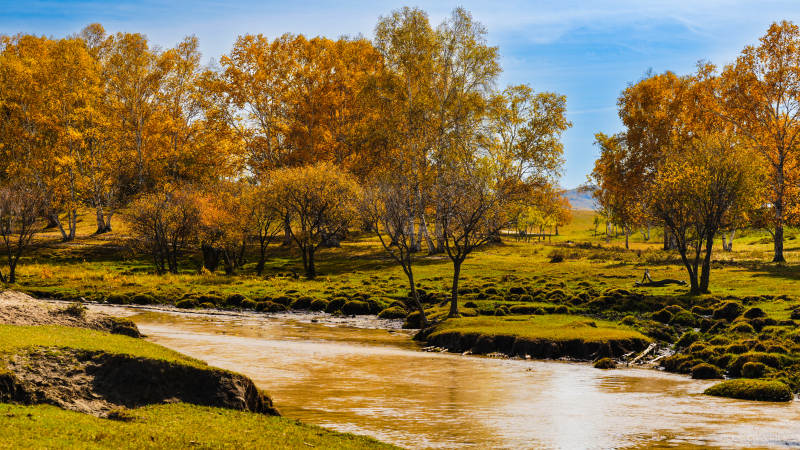 乌兰布统秋林溪流美景图片