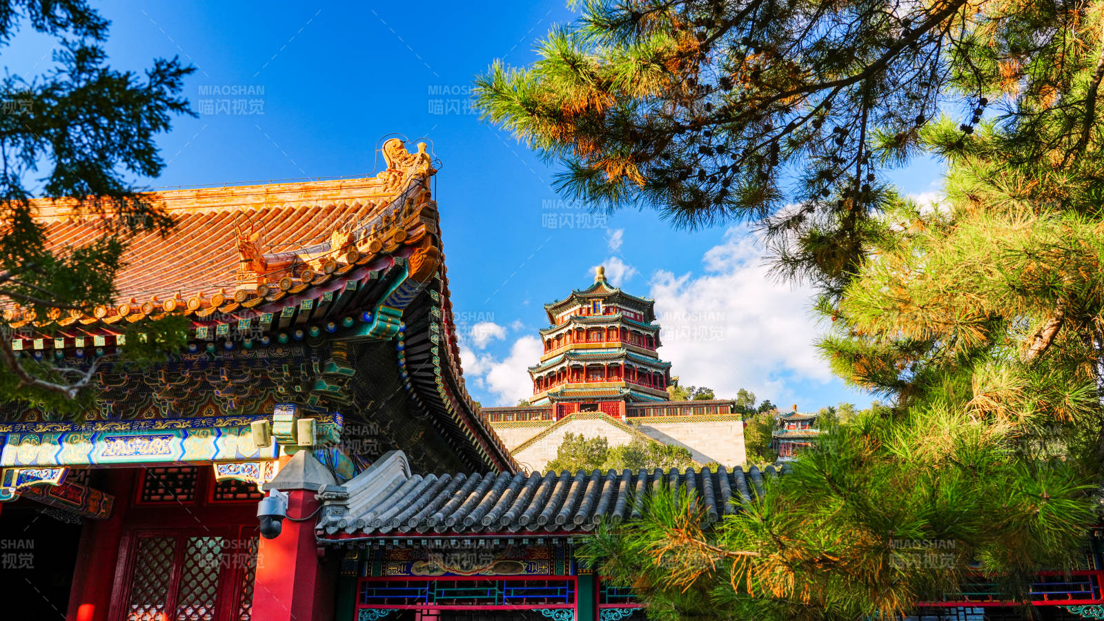 颐和园佛香阁松影映碧空图片