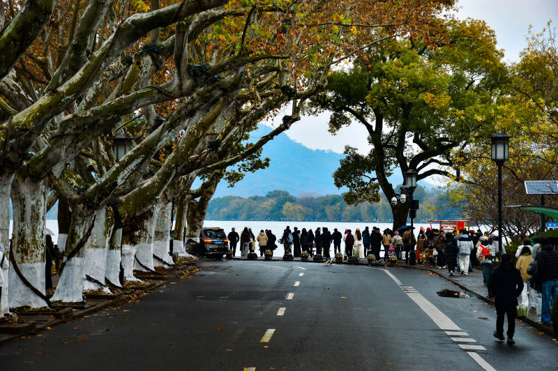 杭州西湖孤山路西冷桥图片