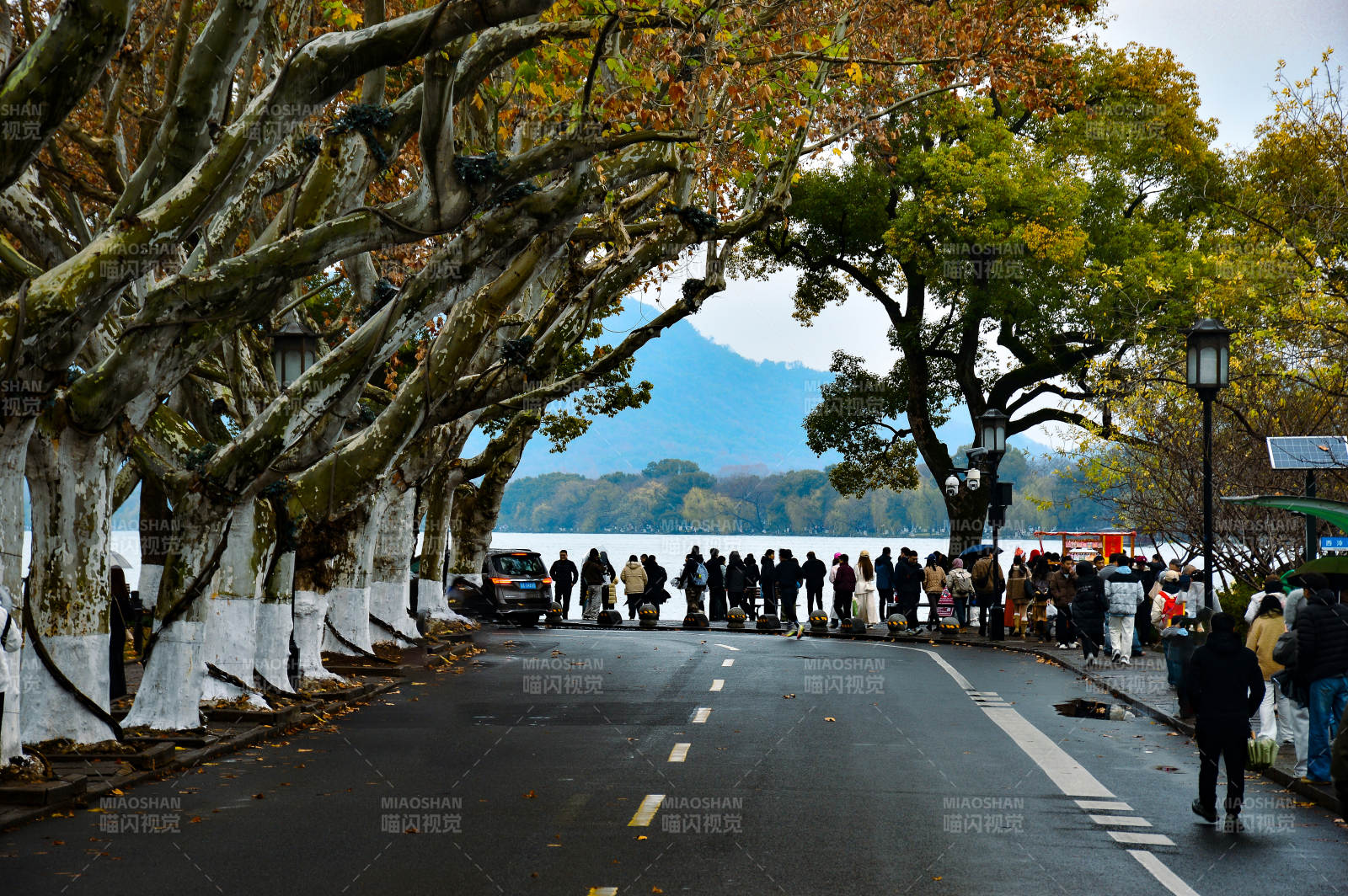 杭州西湖孤山路西冷桥图片