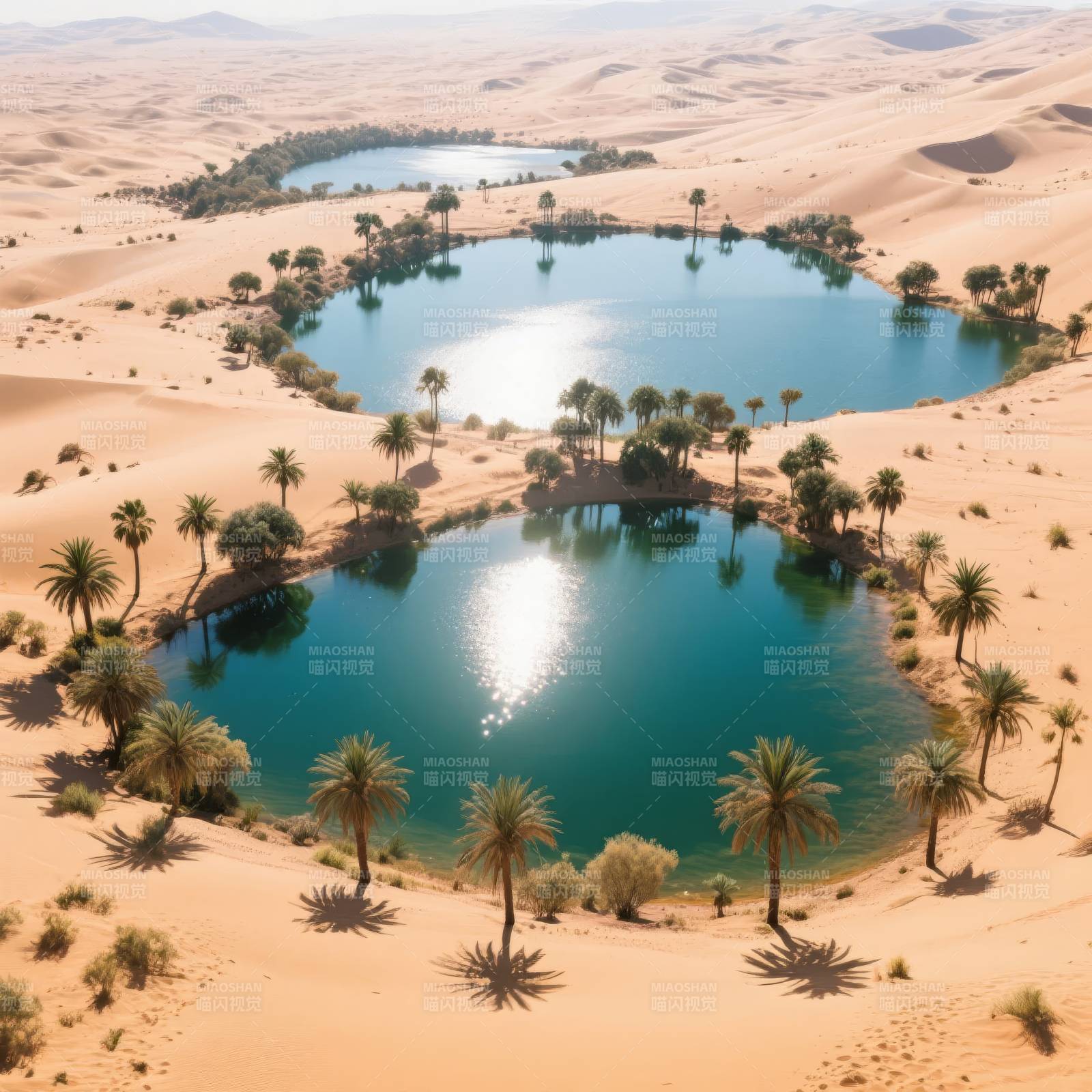 沙漠绿洲奇景图片