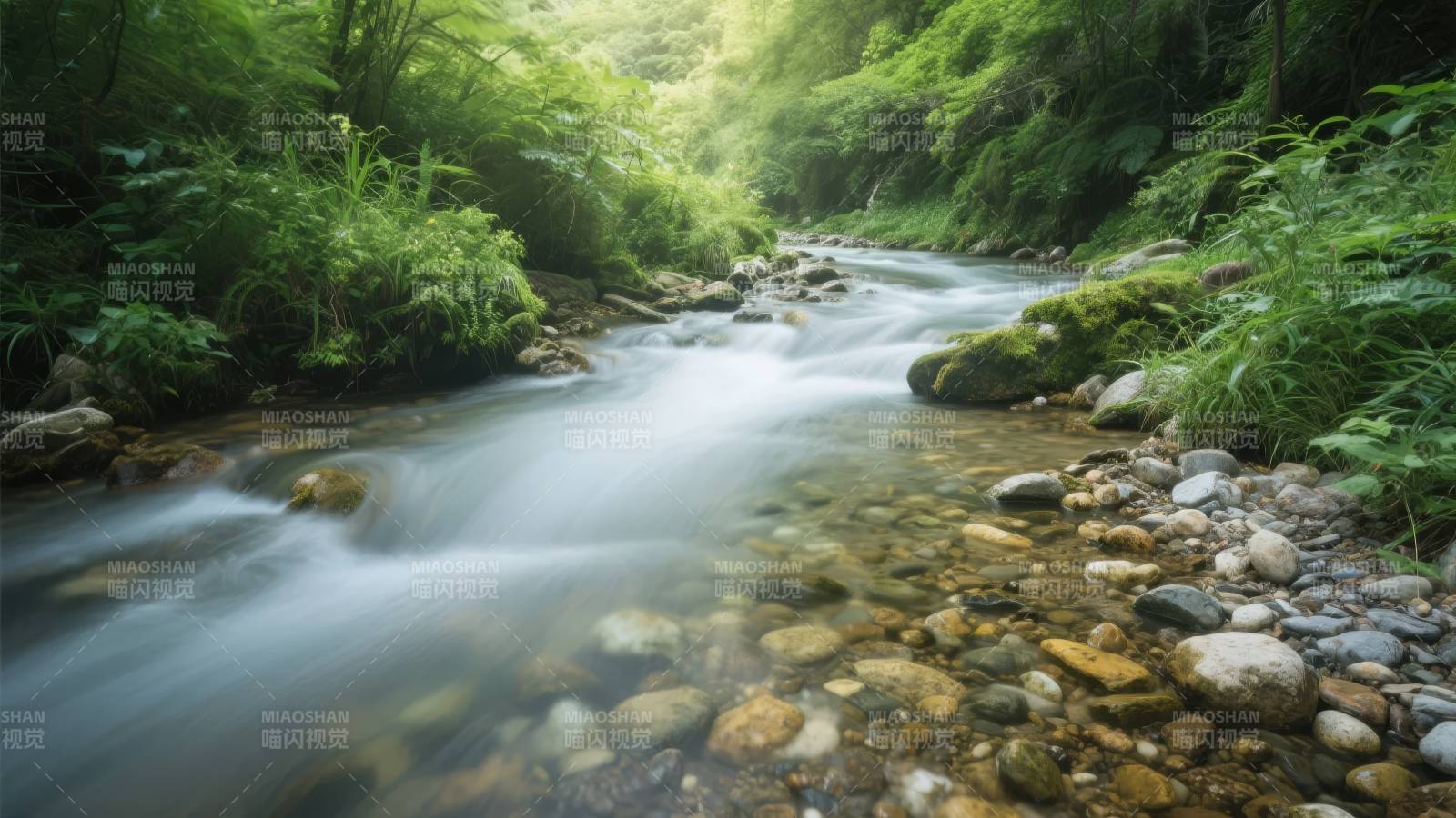 溪流穿林 静谧幽深图片
