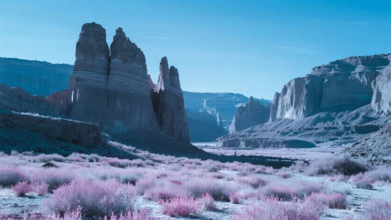 粉花峡谷奇景图片