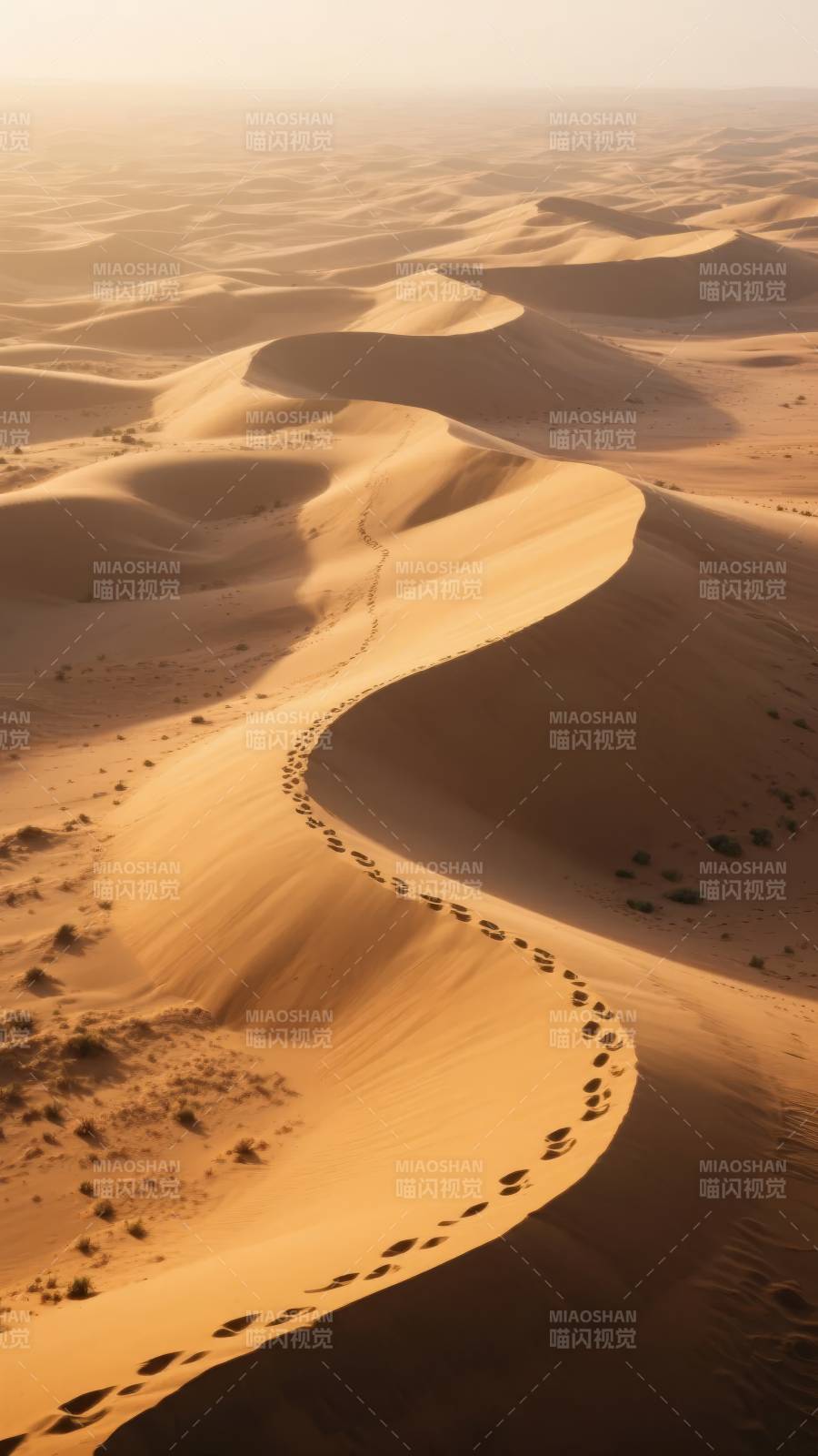 沙漠足迹图片