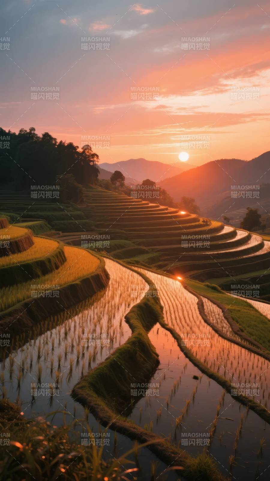 梯田日落美景图片